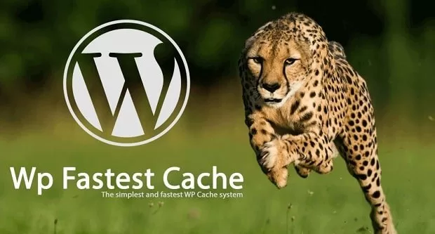 Top 10 Performance WordPress Optimization Plugins - WP Fastest Cache - Sageinweb.com